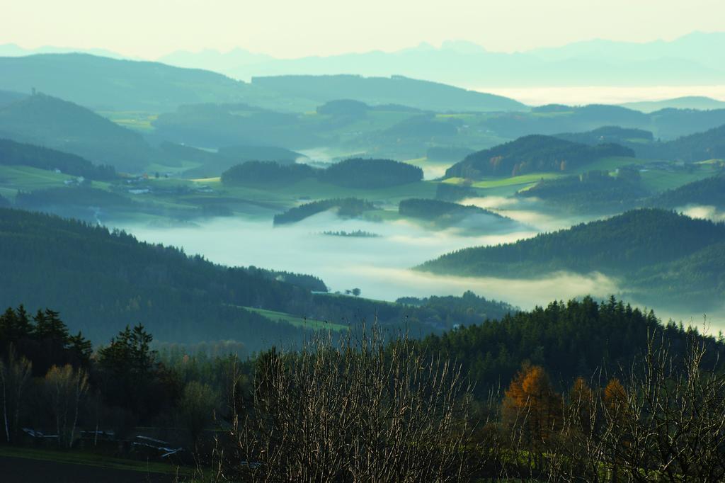 Bergergut Geniesserhotel Afiesl